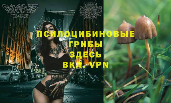 дурь Алзамай